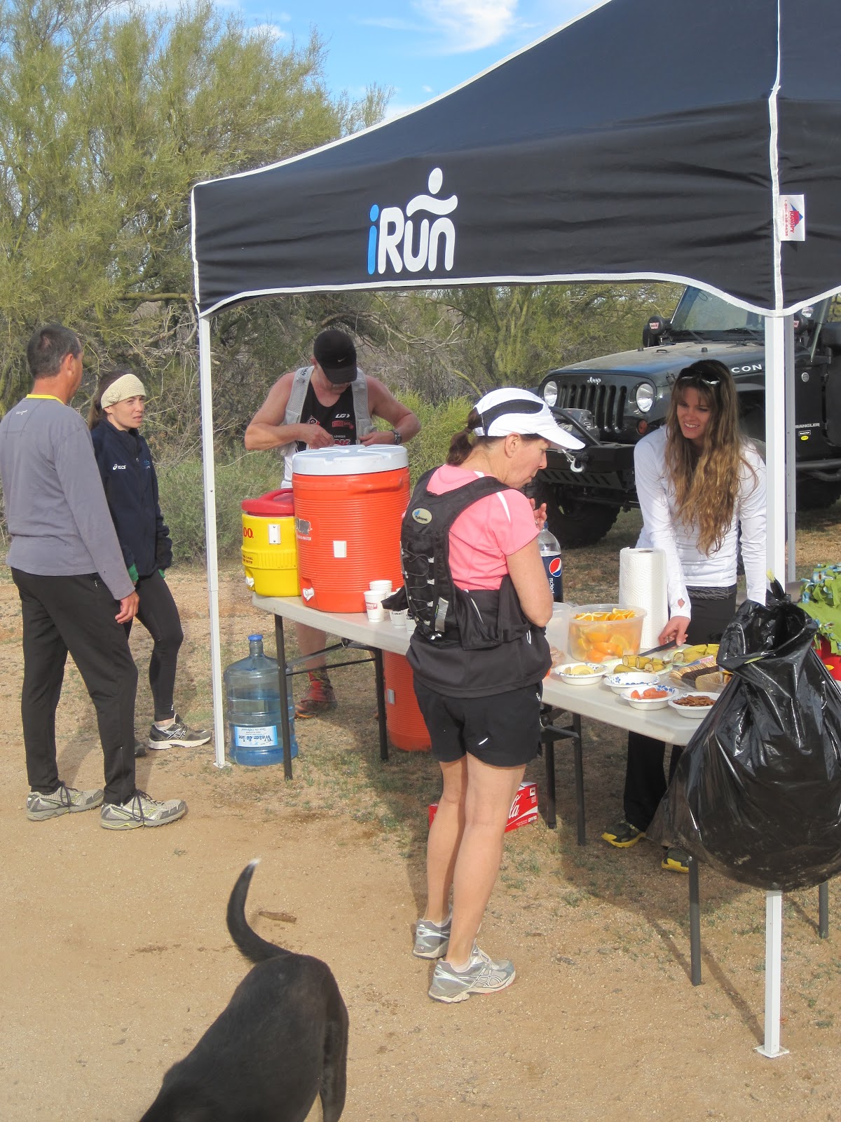 Reinventing the Run 2012 Pemberton Trail 50K