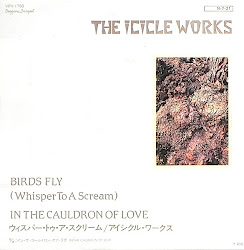 icicle works whisper scream fly birds cauldron 1984 discogs mcnabb ian format 45cat