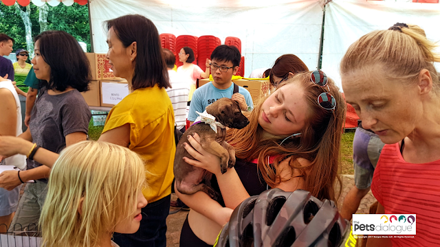 Pet Events in Singapore