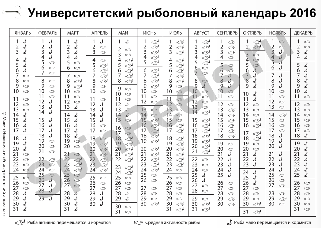 Лунный календарь рыболова на февраль 2023 года SAKH.ONLINE