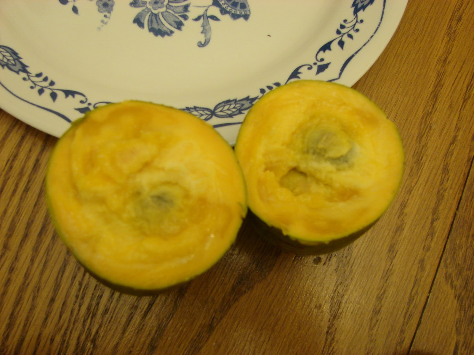 Resources for the American Family Farm Kentucky Champion Pawpaw Tree 2012