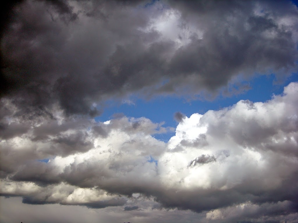 Moesker's Moestuin: Brandnetelgier maken