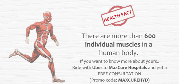 health fact for muscles