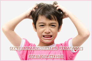 FAKTA MENARIK TENTANG KEMARAHAN PERLU DI KETAHUI FAKTA MENARIK TENTANG KEMARAHAN PERLU DI KETAHUI