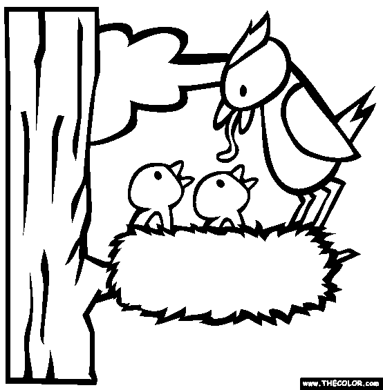 baby birds in a nest coloring pages - photo #37
