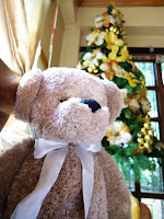 Did the christmas tree originated in germany