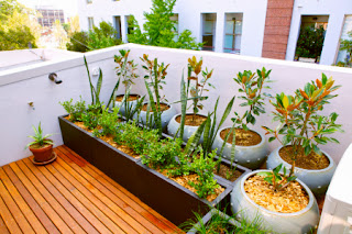 Apartment Balcony Garden Designs, How To Create Balcony Garden