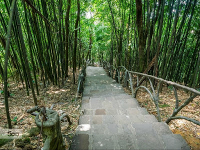 duong len den ba chua thuong ngan bà chúa thượng ngàn tam đảo