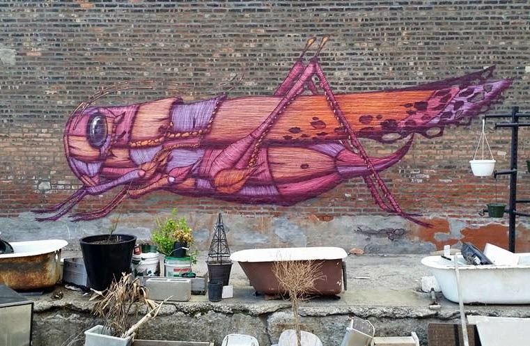 Our friend Sego is currently in New York City where he just wrapped up this new piece somewhere in Brooklyn.