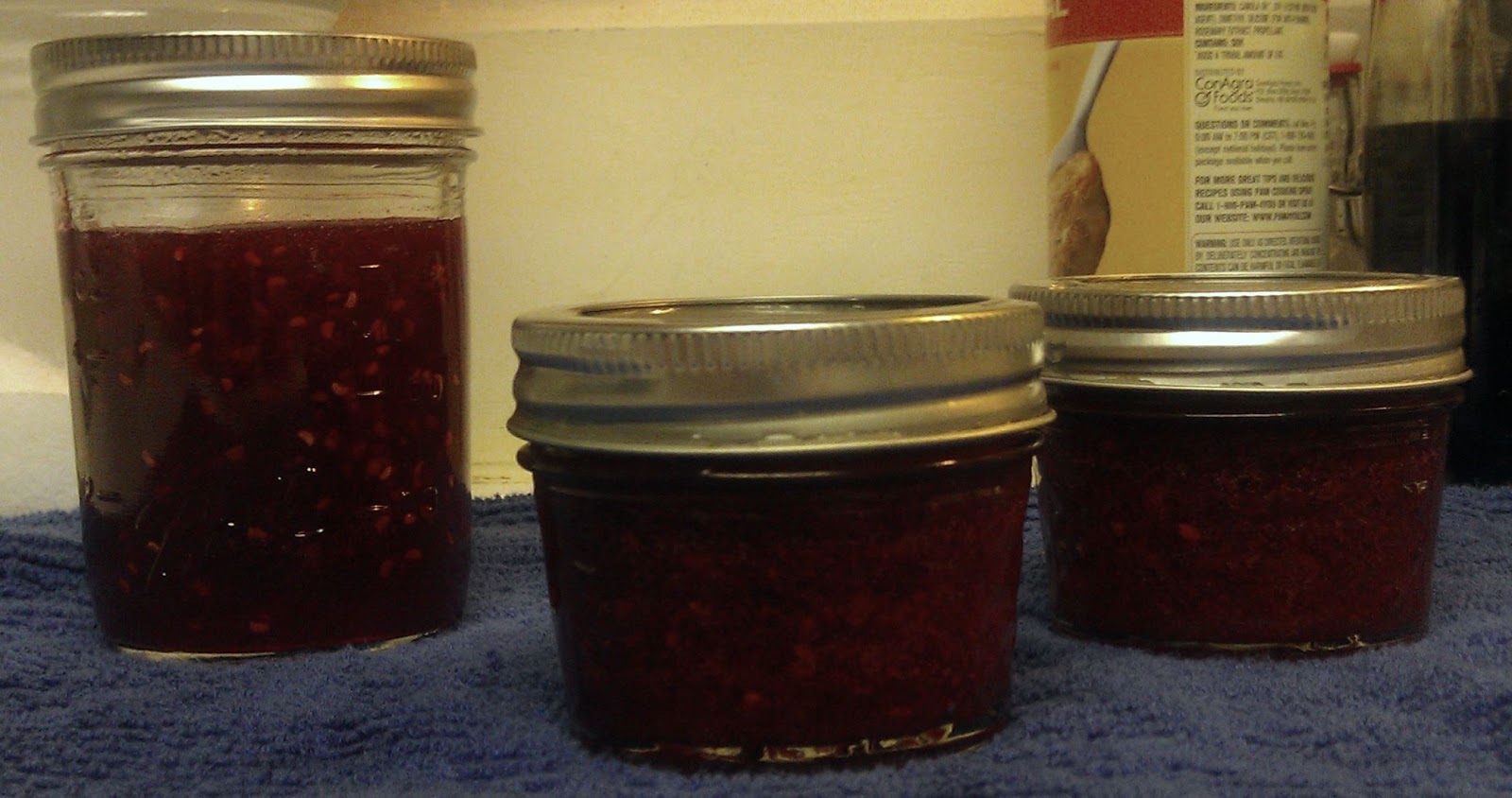 Granite SW Salmonberry Jellam (Jelly/Jam)
