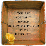 I cordially invite you to see my pictures on Flickr. Just.click the rose in the box.