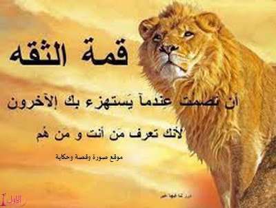 صور مكتوب عليها حكم ومواعظ