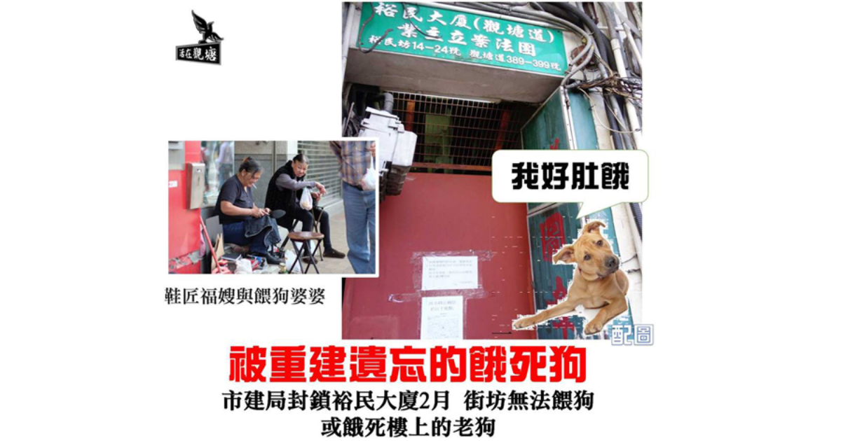 被嚢動物：絵文字のように見える百万年前の動物