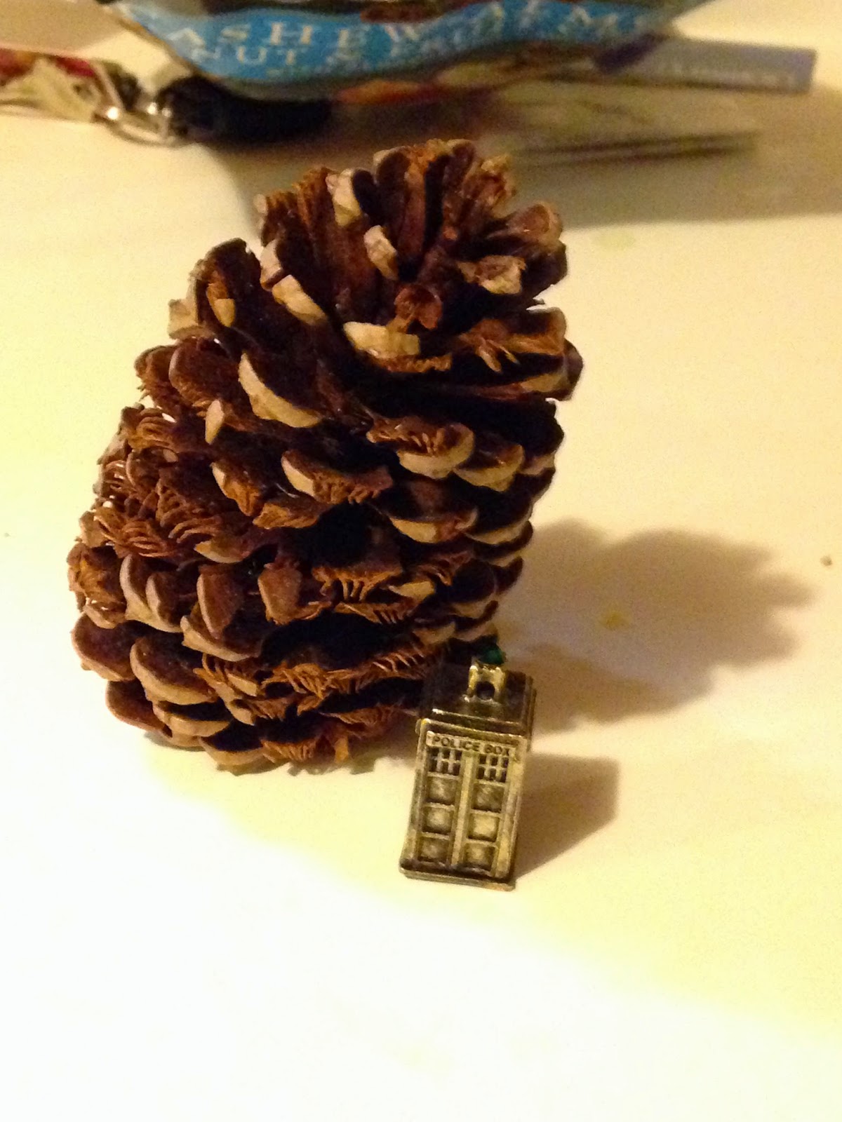 AP Bio Photo Blog Gymnosperm Cone