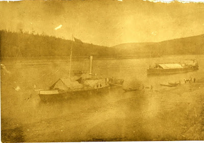 Image © and courtesy of Diana Burns