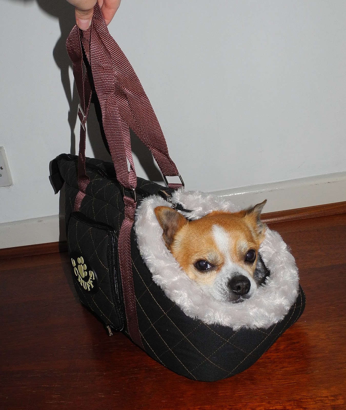 scruffs wilton pet carrier