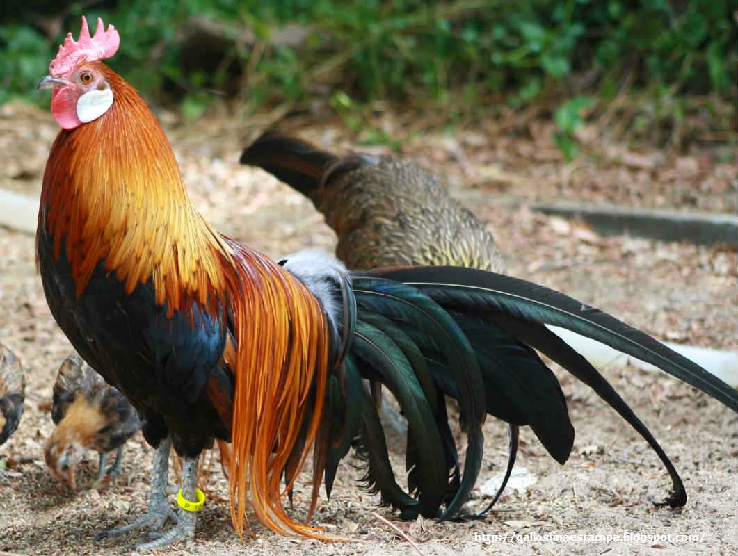 Административное право (160,00 руб.)