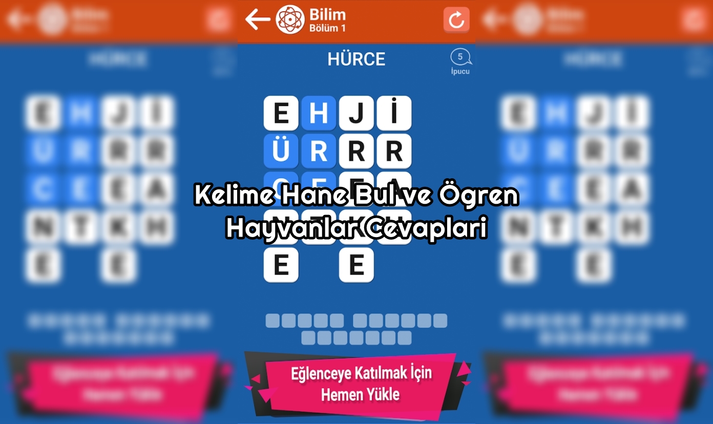 Kelime Hane Bul ve Öğren Hayvanlar Cevapları Kelime Hane Bul ve Öğren Hayvanlar Cevaplar