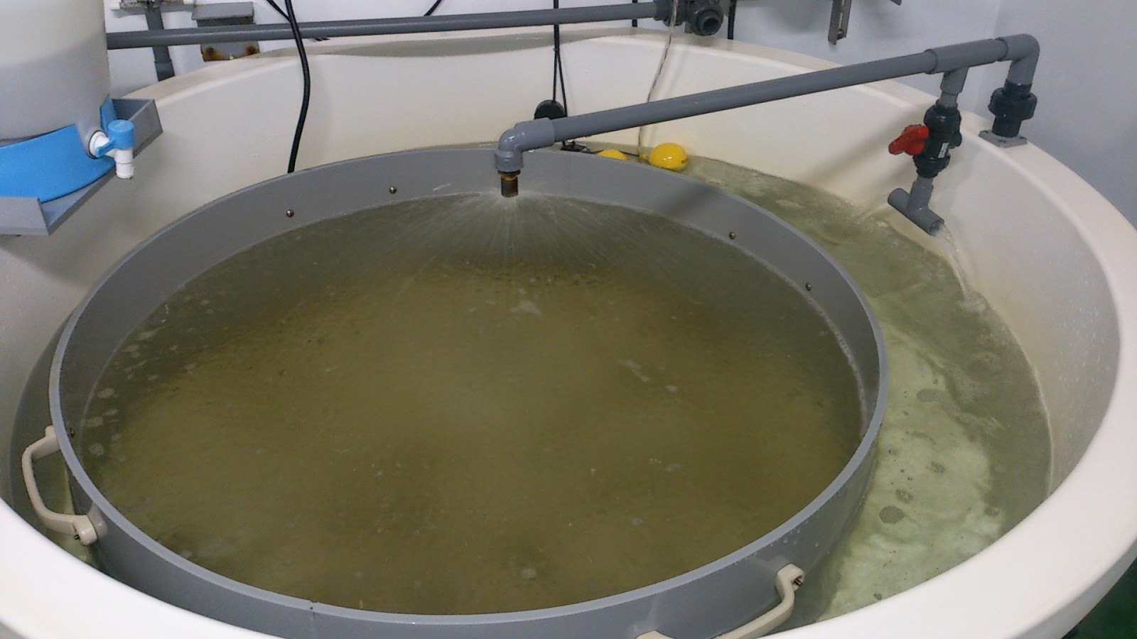 talkhokkaido Oyster Seeds Nursery Center in Akkeshi Town ⑤