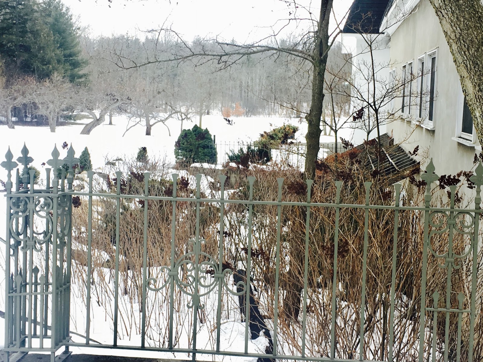 Mop Philosophy Winter Gardens at Langdon Hall