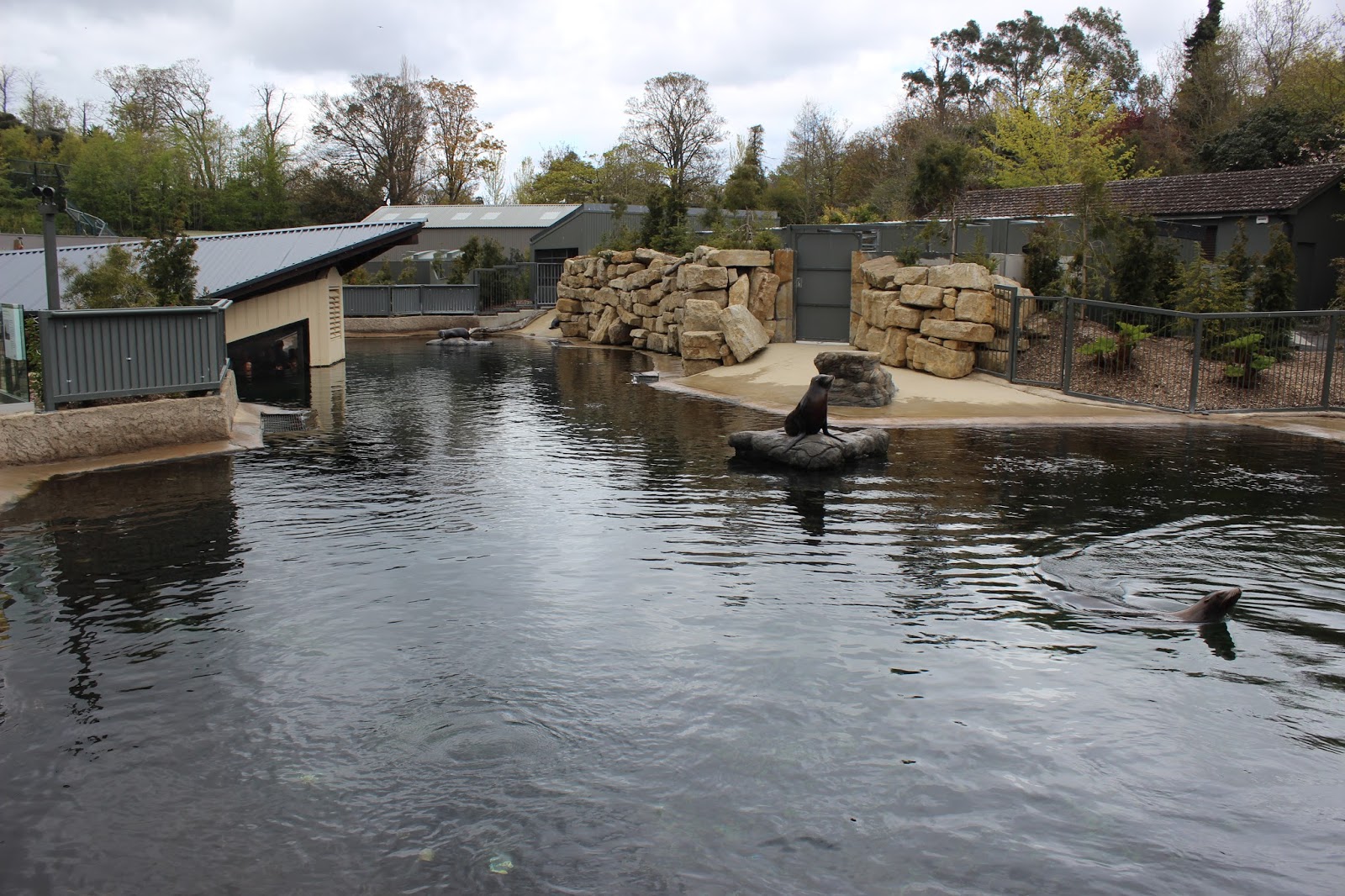 Cerita Kembara Kami: Dublin Zoo, Ireland - Percutian anak-anak