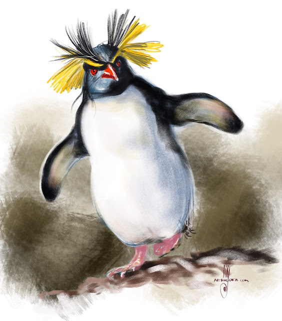Rockhopper Penguin Bird painting by Artmagenta