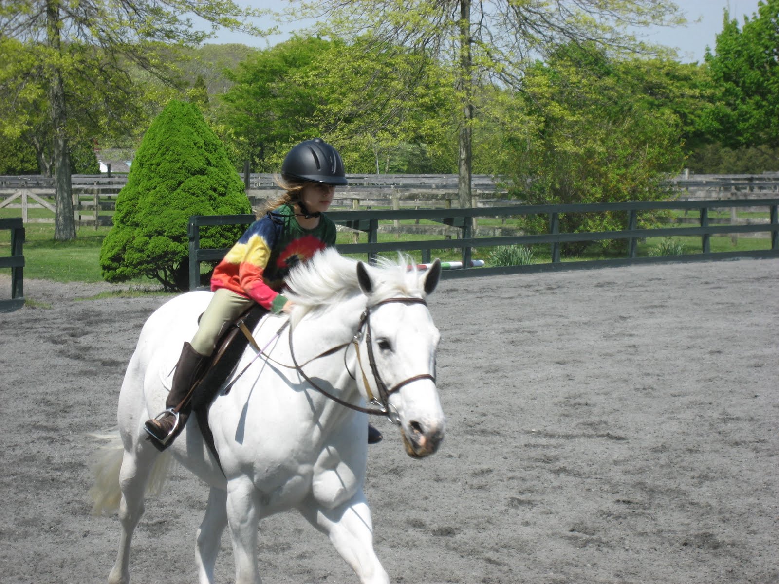Grits & Caviar wolffer estate stables