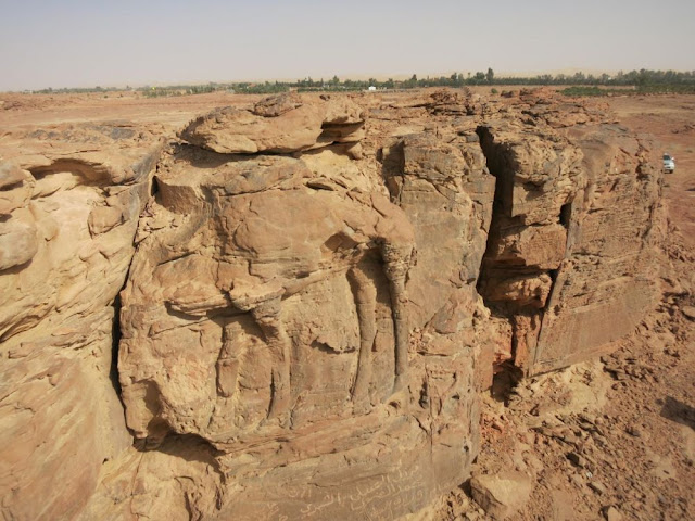 Life-sized sculptures of dromedaries found in Saudi Arabia Life-sized sculptures of dromedaries found in Saudi Arabia