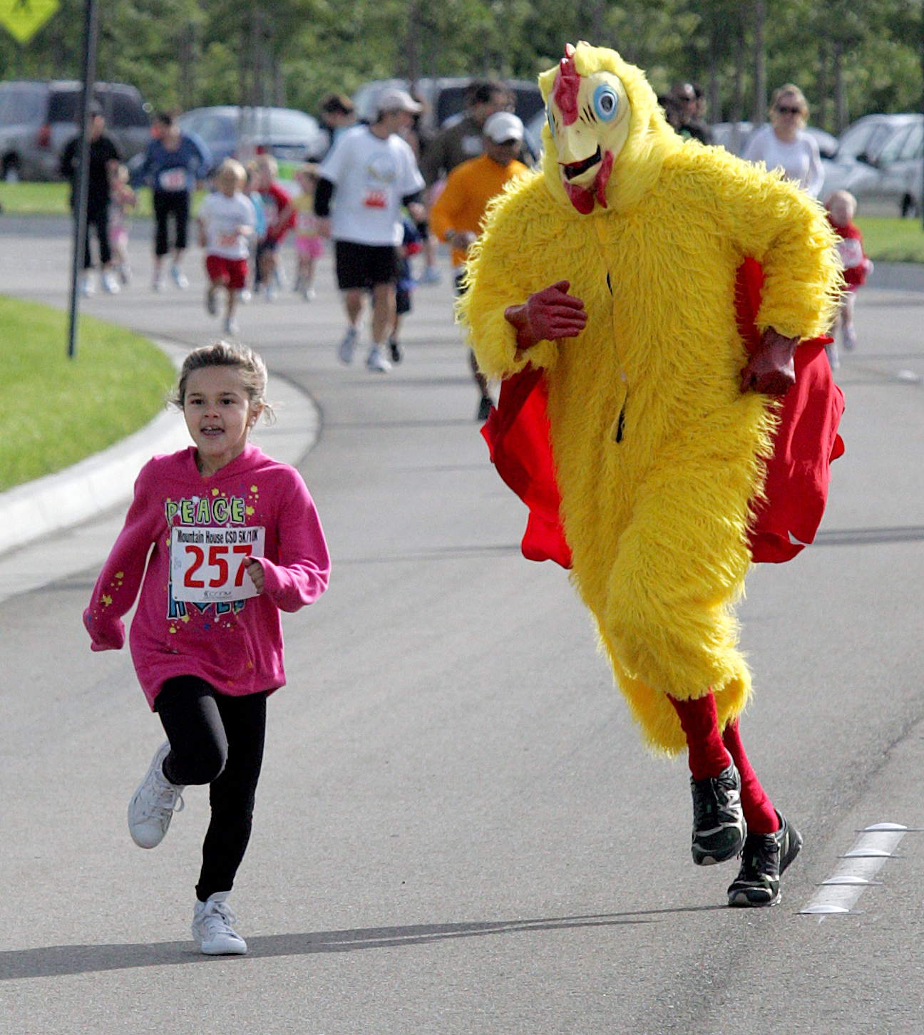 Image result for image of person in a chicken suit