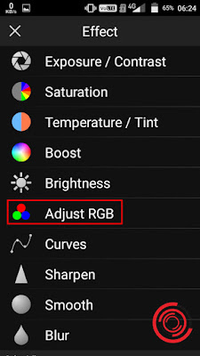 4. Pilih Adjust RGB