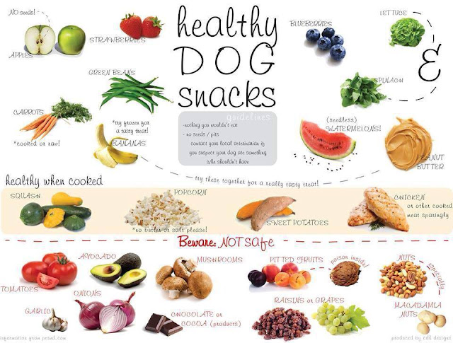 alimentos sanos para perros