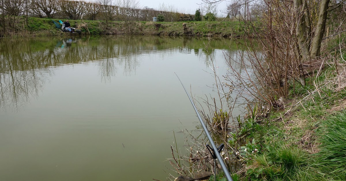 The Broads Fisherman: Great carp fishing at Holly Farm Lakes, South Walsham