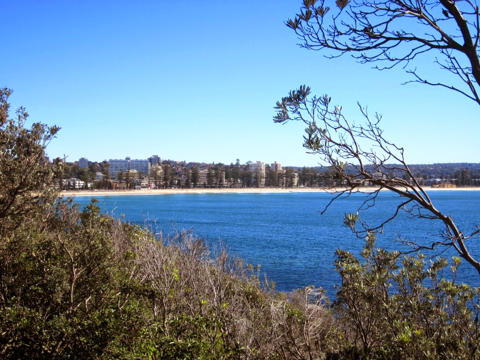 Ray's Retirement Sydney Cabbage Tree Bay