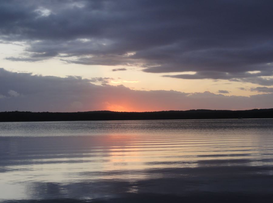 Snap Happy Birding A new day dawning, Mannering Park, Central Coast, N.S.W. Snap Happy Birding A new day dawning, Mannering Park, Central Coast, N.S.W.