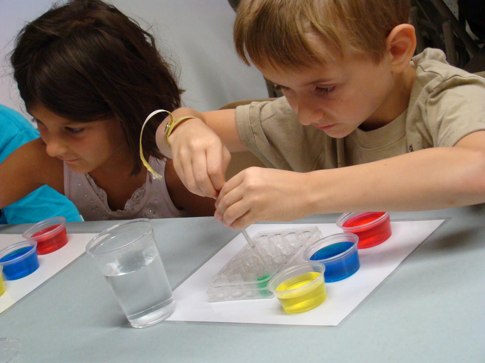 Forensic Science Forensic Science Experiments For School Age Children