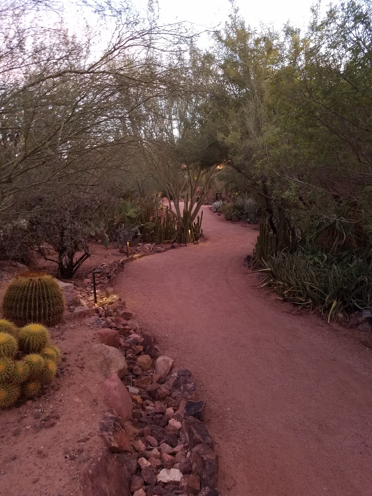 The Halterman Weekend Desert Refreshment Desert Botanical Garden in
