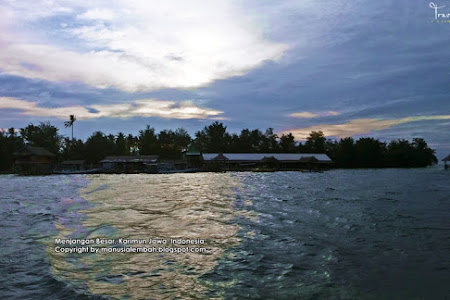 Uji Adrenalin di Kolam Penangkaran Hiu Pulau Menjangan Besar