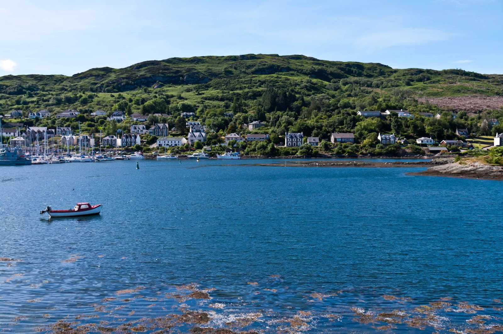 Tarbert, Loch Fyne Fyne Diving!