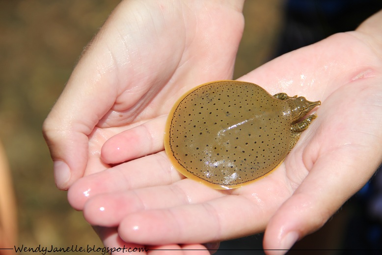 Living Creatively When it's too hot to do anything else...