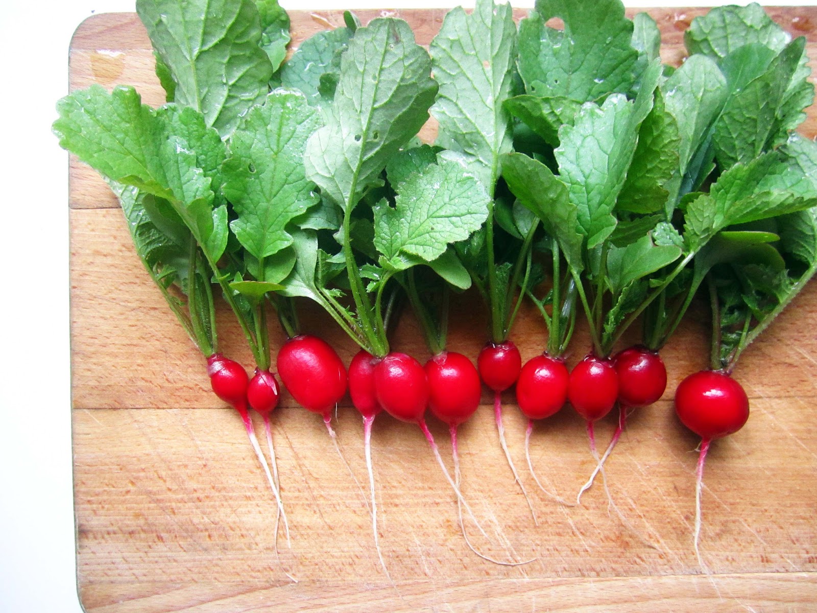 Radishes with Butter and Salt The Grazer