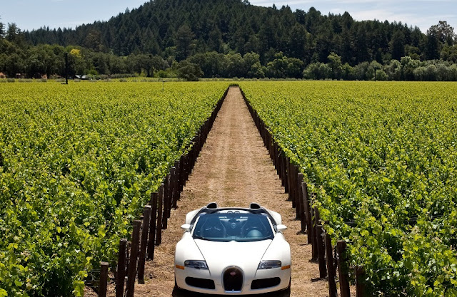 Aluguel de carro em Napa Valley: Dicas para economizar Aluguel de carro em Napa Valley: Dicas para economizar