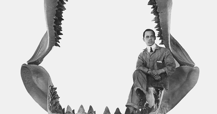 A Mouth Full Of Butcher Knives: Megalodon