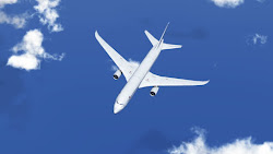 airplane sky eye bird nature creations inspired flying birds plane shutterstock clouds footage animation tab action digital machines