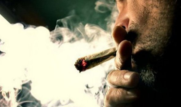 الحشيش علاج فعال لمرض خطير اكتشفوه