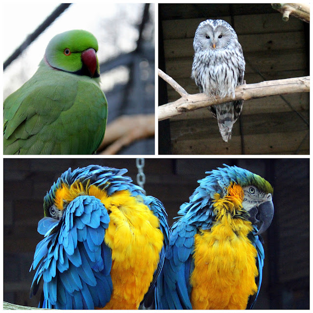 Grugahalle Essen High Resolution Stock Photography And Images Alamy