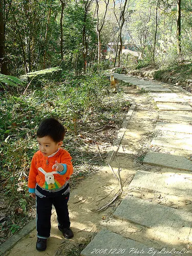 桃園楊梅親子住宿度假|東森山林渡假酒店
