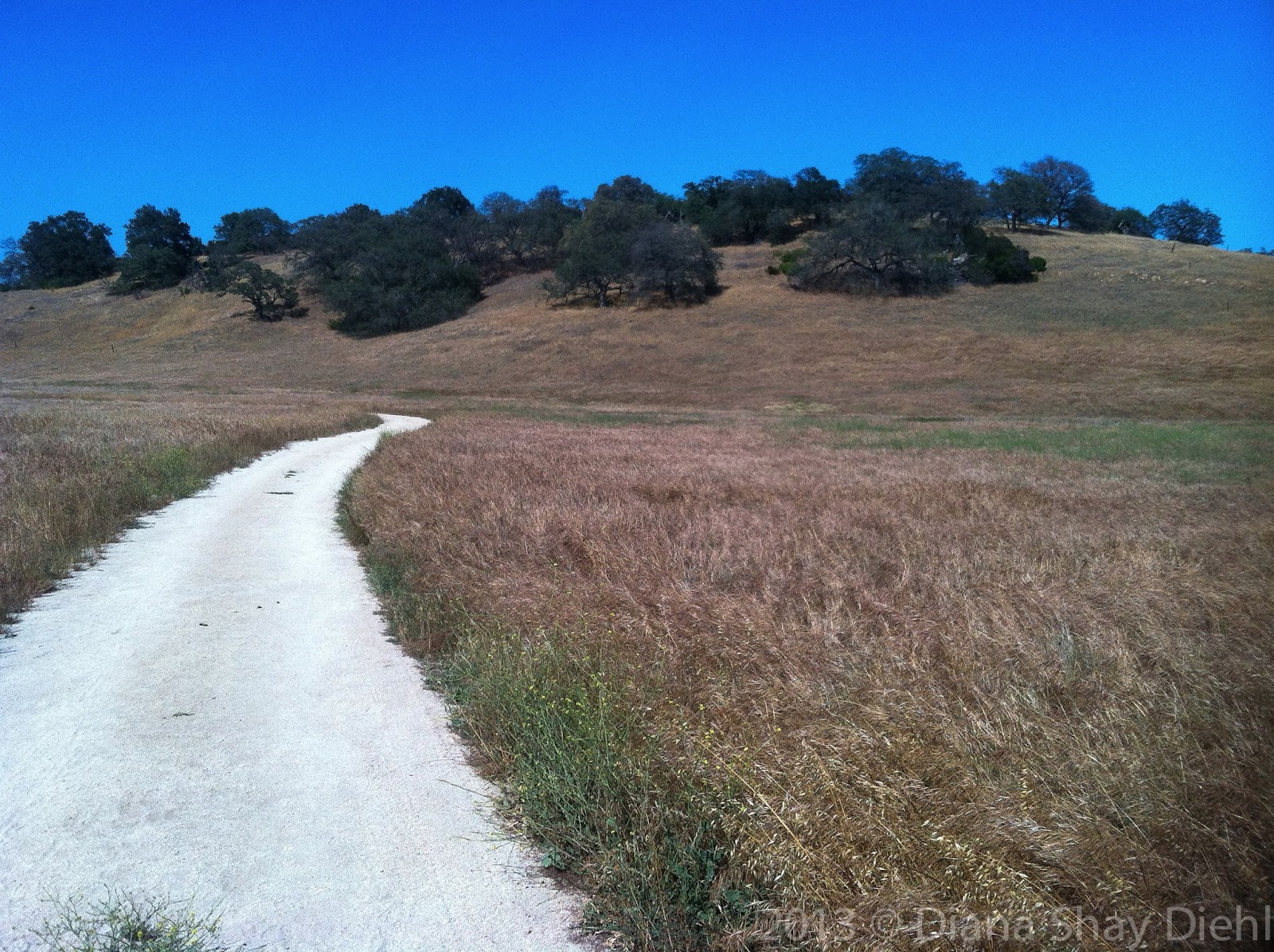 Exploring Santa Rosa Plateau Ecological Preserve...