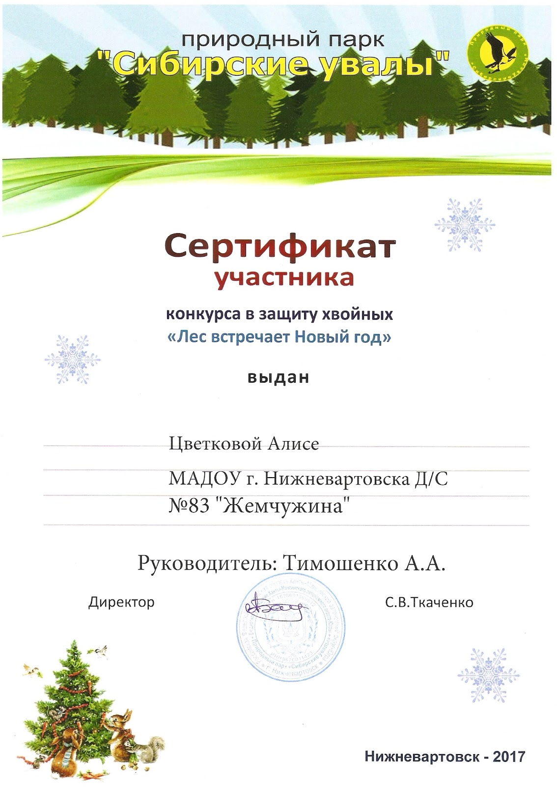 подарочный сертификат на посещение аттракционов. парк сертификат. сертификат concept. парк сертификат. парк сертификат.