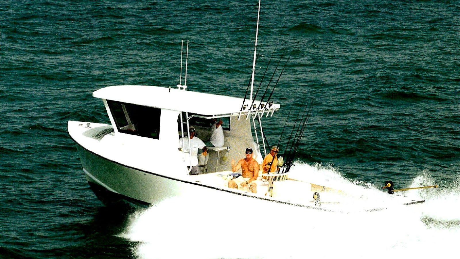 Clearwater Beach Fishing Charters Fish Choices
