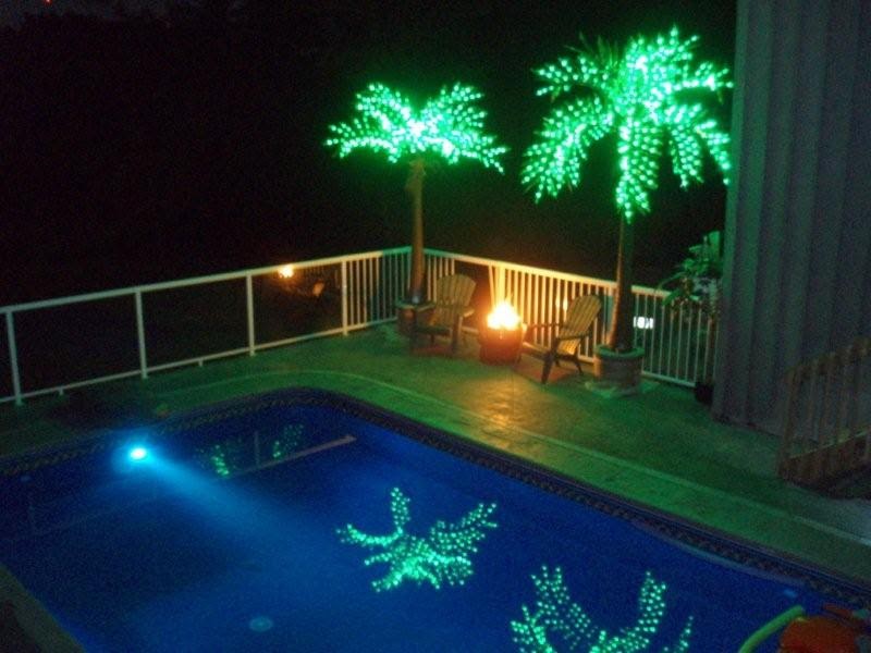 The Most Realistic Led Lighted Palm Tree Welcome To The Most Realistic Led Lighted Palm Tree Welcome To Myoutdoorconnection